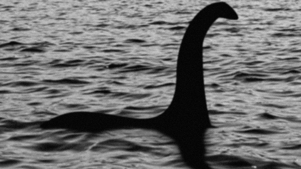 107971291 nessie