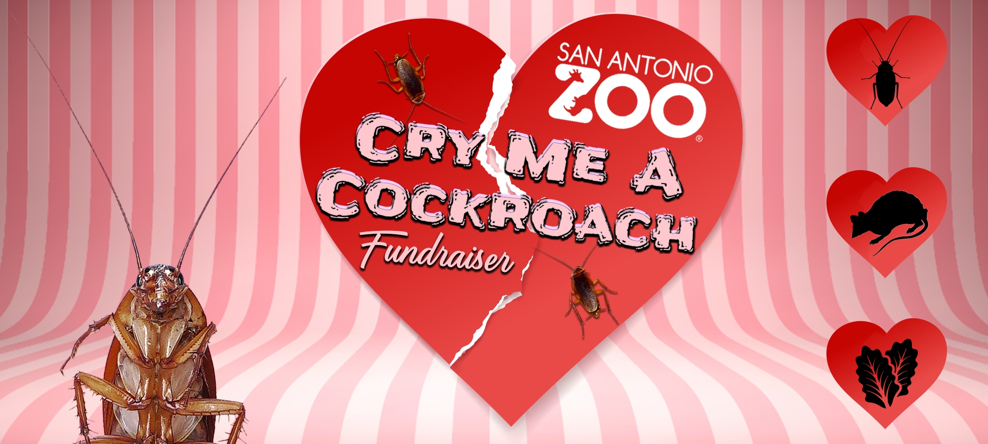 2000x900 Cry Me A Cock Roach