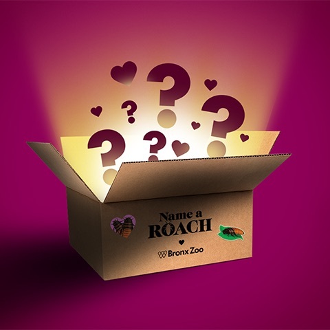 811b2bb3 2657 ce0b 1151 ea40a3fed56c